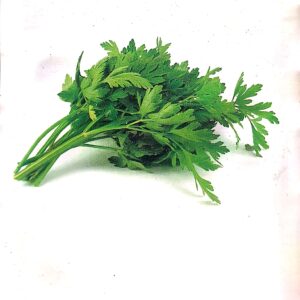 Celery-Seeds