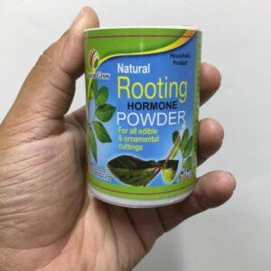 Rooting Harmone Powder