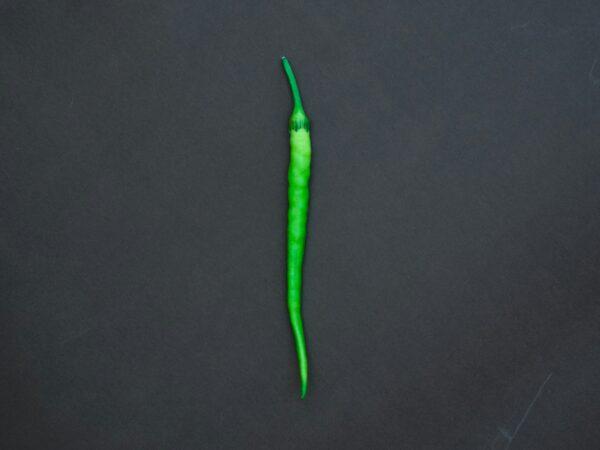 Green Chilli