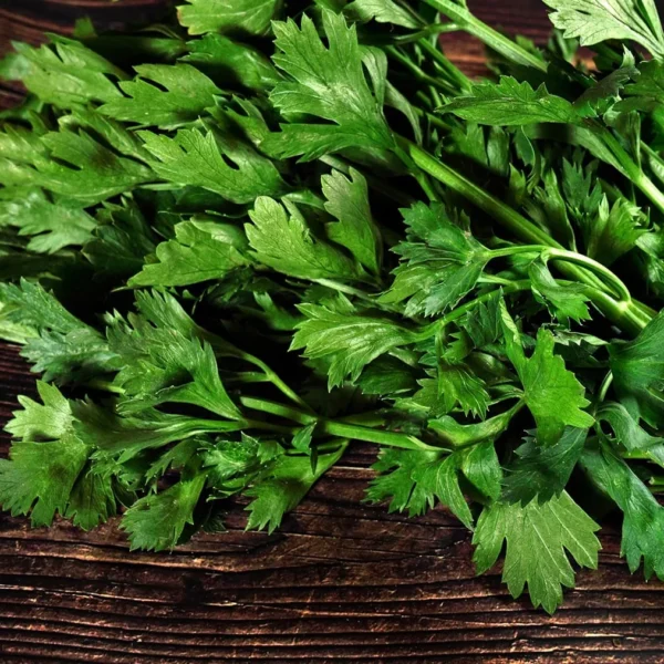 Parsley-Herbs